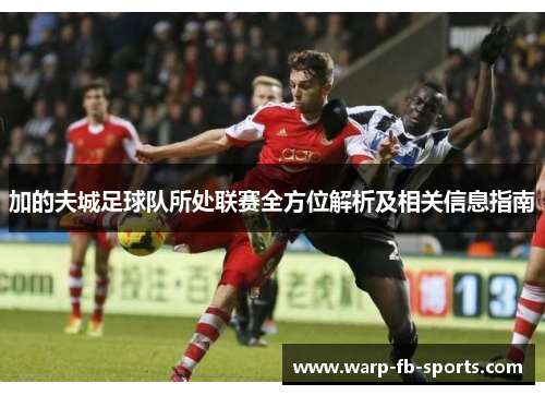 加的夫城足球队所处联赛全方位解析及相关信息指南