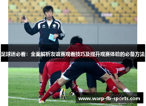 足球迷必看：全面解析友谊赛观看技巧及提升观赛体验的必备方法