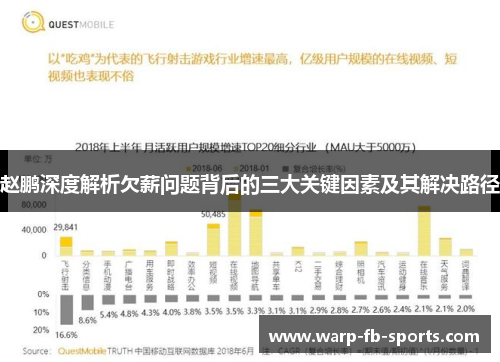 赵鹏深度解析欠薪问题背后的三大关键因素及其解决路径